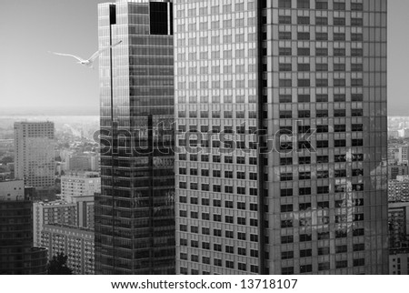 shadow of the bird on a skyscrapers in warsaw - stock photo