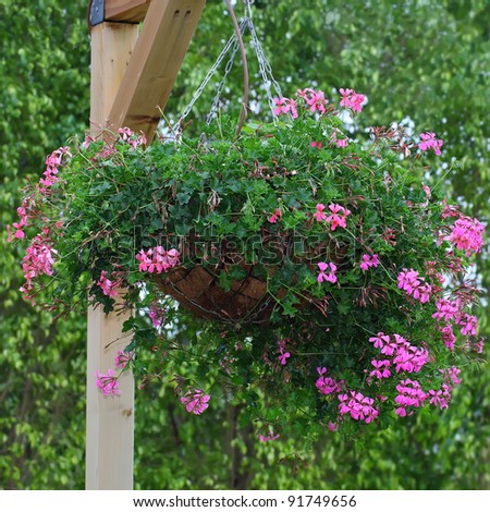 Hanging-flower-basket Stock Images, Royalty-Free Images & Vectors