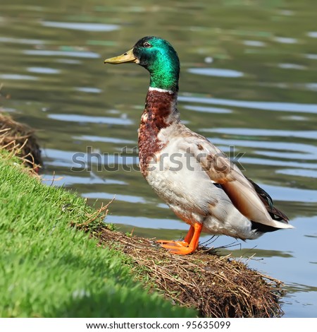 hispanic singles in mallard If you are single, you have to start using this dating site this site is your chance to find a relationship or get married. hispanic singles in mallard If you are single, you have to start using this dating site this site is your chance to find a relationship or get married.