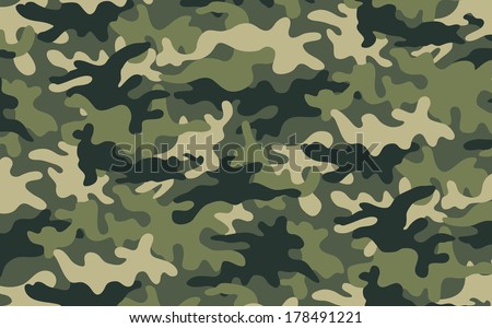 Camouflage Background Stock Photos, Images, & Pictures | Shutterstock