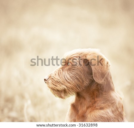 Stock Photos, Illustrations, and Vector Art similar to Image ID ... Stock Photos, Illustrations, and Vector Art similar to Image ID ...