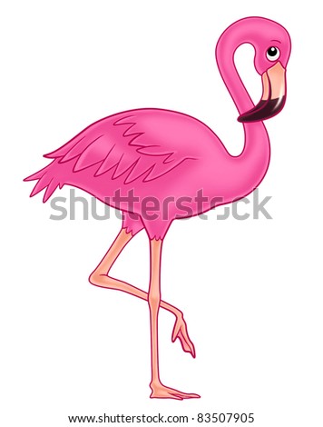 Pink Flamingo Stock Photos, Images, & Pictures | Shutterstock