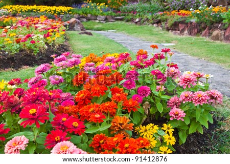 http://thumb7.shutterstock.com/display_pic_with_logo/730546/730546,1324793020,1/stock-photo-colorful-flower-in-the-garden-91412876.jpg