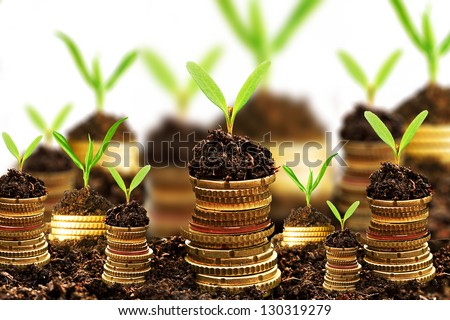 Golden coins in soil with young plant isolated. Money growth concept. - stock photo