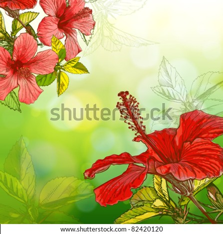 Corner Flowers Hibiscus Stock Photos, Images, & Pictures | Shutterstock