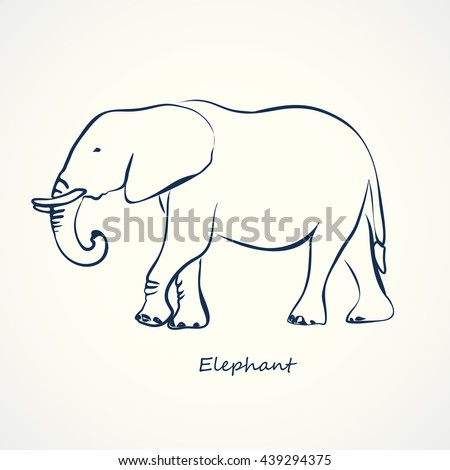 african elephant white outline png