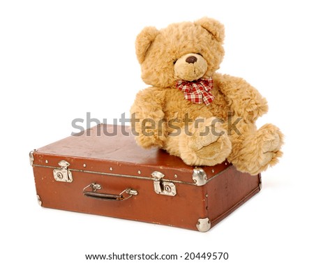 teddy suitcase