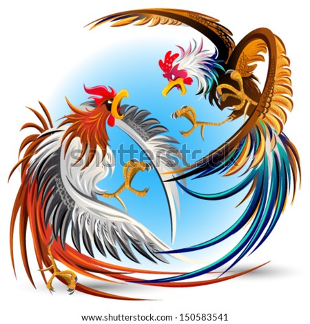 cockfighting stock photos images amp pictures shutterstock cockfighting stock photos images amp pictures shutterstock