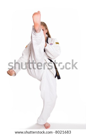 second degree black belt essays second degree black belt essays