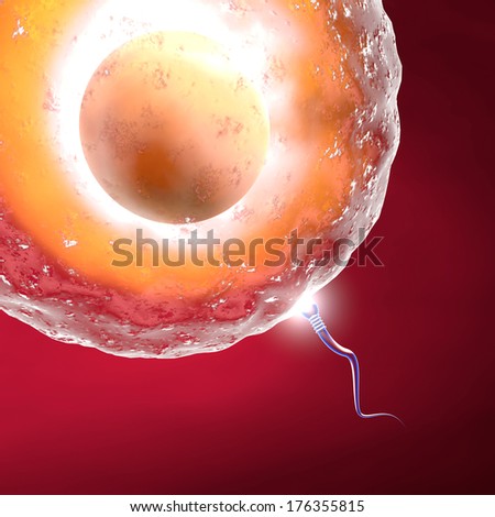 sperm race essay sperm race essay