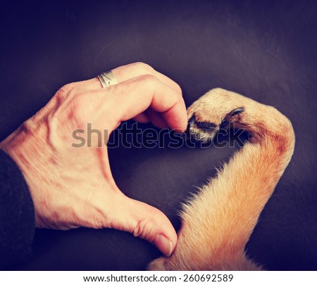 a person and a dog making a heart shape with the hand and paw toned with a retro vintage instagram filter effect app or action - stock photo