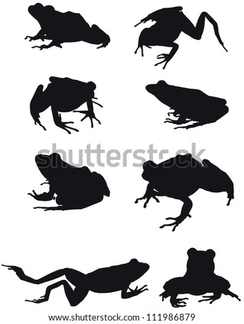 Frog Silhouette Stock Photos, Images, & Pictures | Shutterstock