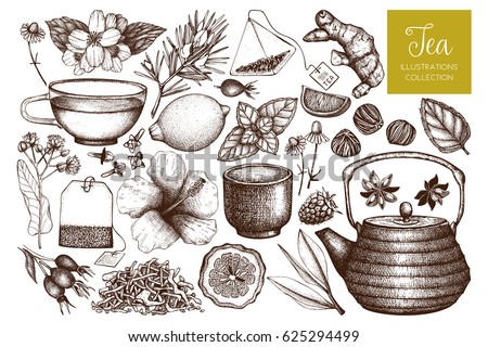 Vector collection of hand drawn tea illustration. Decorative inking herbs and fruits sketch. Vintage matcha design. Vector collection of hand drawn tea illustration. Decorative inking herbs and fruits sketch. Vintage matcha design.