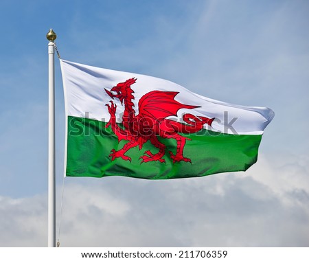 green white red dragon flag green white red dragon flag