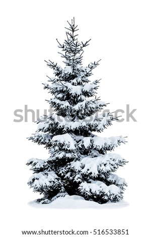 Snow-covered Stock Images, Royalty-Free Images &amp; Vectors | Shutterstock