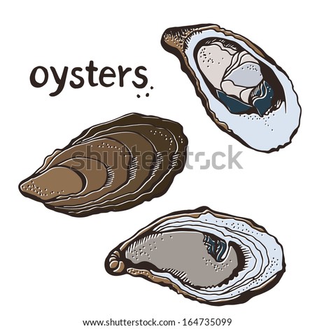 Oyster Shell Stock Photos, Images, & Pictures | Shutterstock