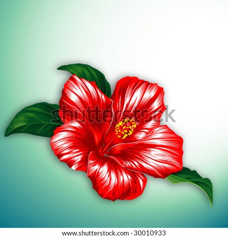 Stock Images similar to ID 2486643 - hibiscus on vine with berries...