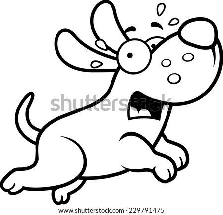 Scared Dog Stock Photos, Illustrations, and Vector Art