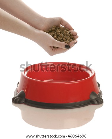 stock-photo-person-putting-hand-full-of-dog-food-in-a-dish-46064698.jpg