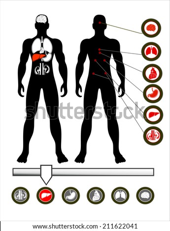 Male Anatomy Stock Photos, Images, & Pictures | Shutterstock