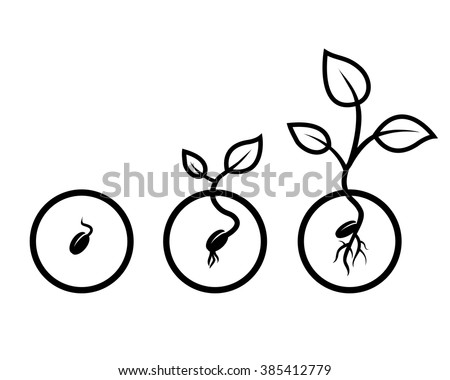 Seed Stock Images, Royalty-Free Images & Vectors | Shutterstock