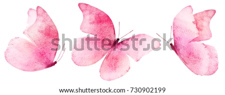 Butterfly Imágenes pagas y sin cargo, y vectores en stock | Shutterstock