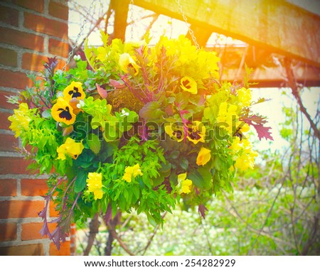 Hanging-flower-basket Stock Images, Royalty-Free Images & Vectors