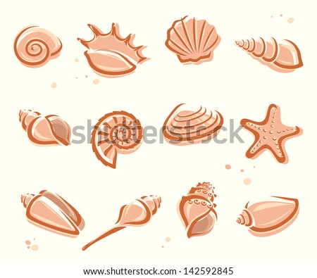 Seashells set. Vector - stock vector