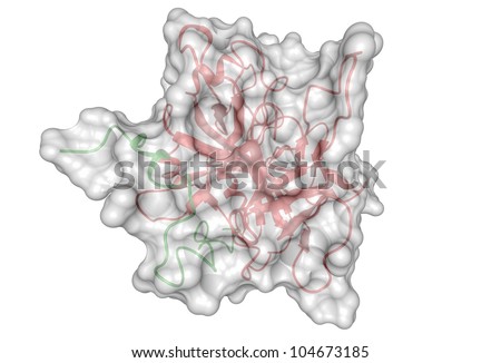 Fibrin Stock Photos, Fibrin Stock Photography, Fibrin Stock Images ...