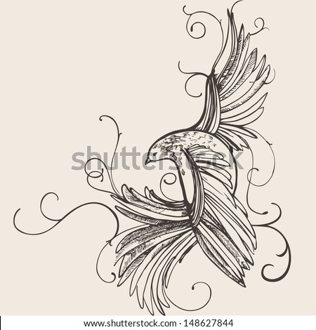 Hand Drawn Bird Stock Vector 148627844 - Shutterstock