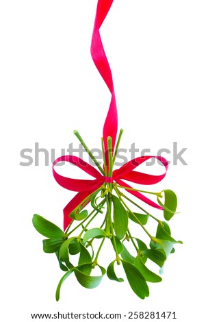 Mistletoe Stock Photos, Royalty-Free Images & Vectors - Shutterstock