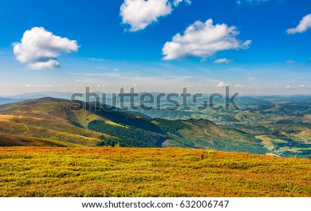 beautiful summer landscape. forest and grassy meadow on a hillside of mountain ridge