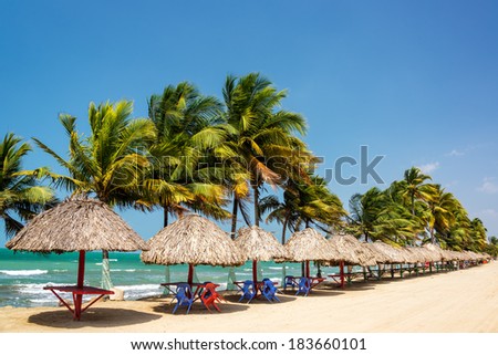  - stock-photo-row-of-palm-trees-and-tables-to-relax-at-on-the-caribbean-coast-in-covenas-colombia-183660101