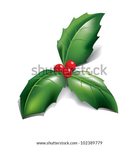 Holly Leaf Stock Photos, Images, & Pictures | Shutterstock