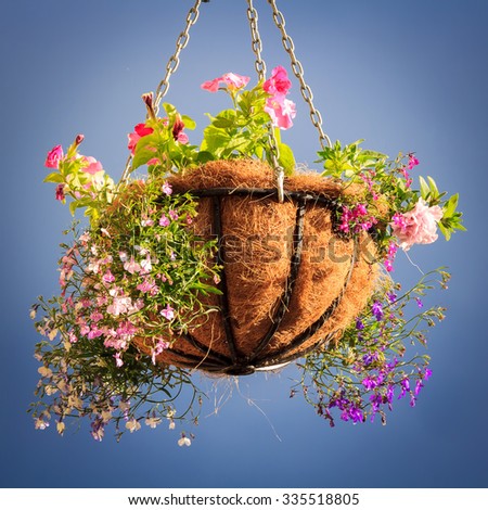 Hanging-flower-basket Stock Images, Royalty-Free Images & Vectors