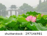china hangzhou west lake lotus...