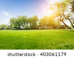 Lawn In The Park Free Stock Photo - Public Domain Pictures
