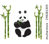 panda with a sprig of bamboo on ...