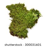 green moss on white background