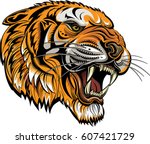 Saber-tooth Tiger Free Stock Photo - Public Domain Pictures