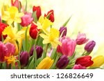 colorful tulips and daffodils