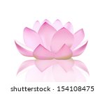 Lotus Flower Vector