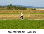 2 Amish Boys Free Stock Photo - Public Domain Pictures