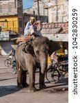 Small photo of Jodhpur, India - oct 2010 : an elephant and his driver on the streets of the Jodhpur market