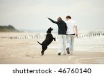 Man Dog Walking On Beach Free Stock Photo - Public Domain Pictures