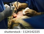Small photo of Doctors in the middle of a surgical procedure