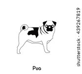 Vector Images, Illustrations and Cliparts: Pug dog - vector