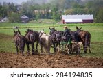 2 Amish Boys Free Stock Photo - Public Domain Pictures