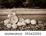 clock on stone and pebble with...