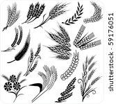 vector images illustrations and cliparts wheat and rye vector images illustrations and cliparts wheat and rye